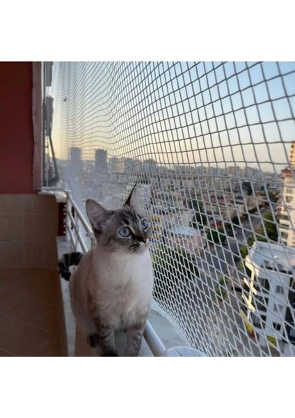 Kedi Filesi – 4 cm – 2.5 mm Ip – Kedi Ağı – Kare Desen - 3 Metre x 6 Metre