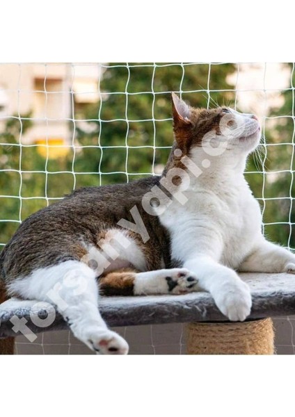 Kedi Filesi – 4 cm – 2.5 mm Ip – Kedi Ağı – Kare Desen - 3 Metre x 6 Metre