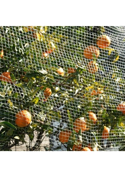 Kuş Ağı – 2 cm Gözli – Kuş Filesi – 1,5 mm Ip – Beyaz Renk – Balkon Filesi - 10 Metre x 80 Metre