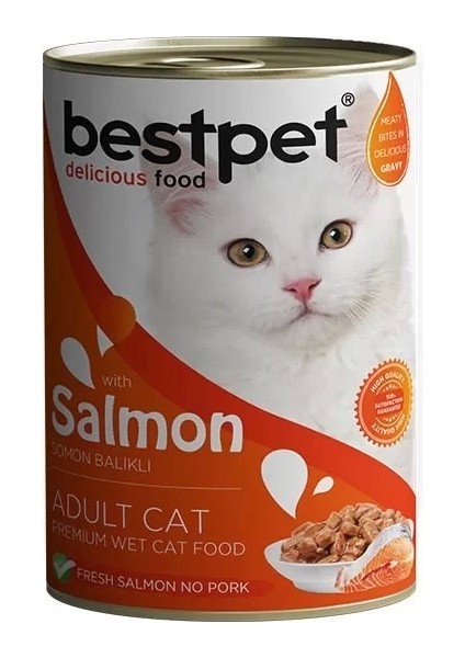Bestpet Somonlu Jöleli Yetişkin Konserve Kedi Maması 400 gr