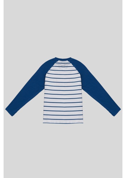 Erkek Çocuk Mavi Mix Çizgili T-Shirt fiyatları