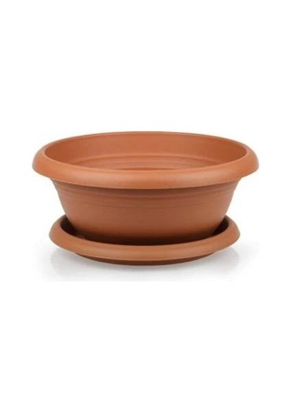 Aranjman Bonsai Saksı Kahverengi Renk 2,1 Litre