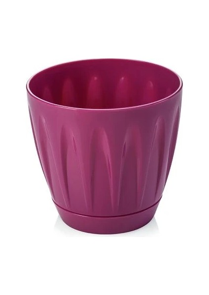 Papatya Saksı Fuşya Renk 1,5 Litre