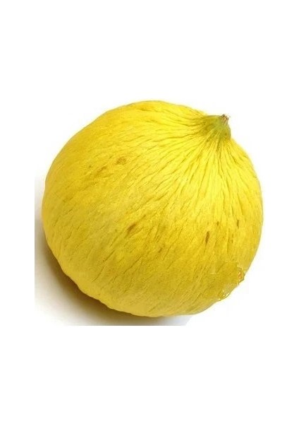 Kavun Toros Kışlık Tohumu Paket 10 Gram