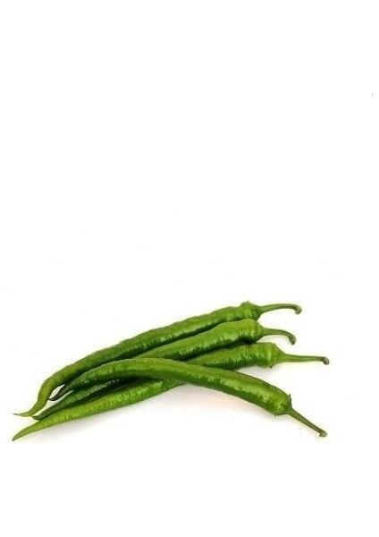 Biber Ilıca 256 Acı Sivri Tohumu Paket 25 Gram