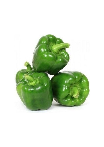 Biber Kandil Dolmalık Tohumu Paket 25 Gram