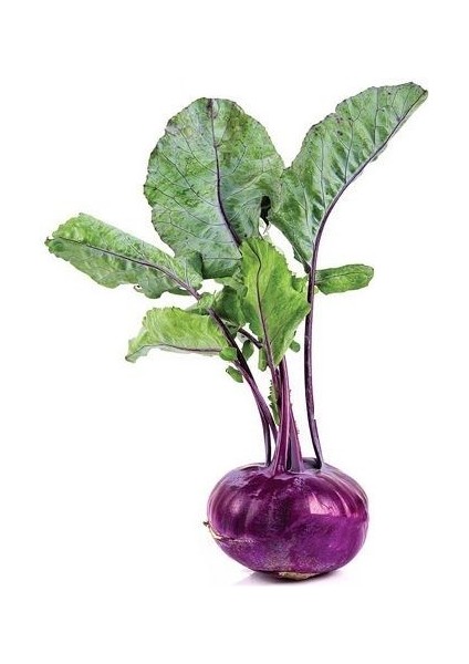 Mor Alabaş Tohumu Kohlrabi Paketli 1 Gram