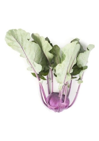 Mor Alabaş Tohumu Kohlrabi Paketli 1 Gram