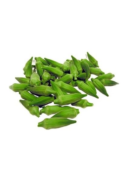 Yalova Akköy 41 Bamya Tohumu Paket 10 Gram