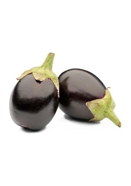 Patlıcan Topan 374 Tohumu Paket 5 Gram