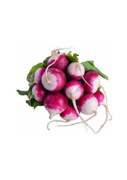 Kırmızı Beyaz Turp Tohumu Paket 10 Gram