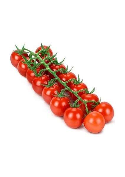 Cherry Domates Tohumu Paket 1 Gram 150 Tohum
