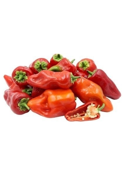 Biber Acı Isot Urfa Biberi Tohumu Paket 10 Gram