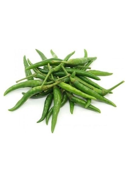 Biber Toros Yukarı Bakan Turşuluk Cin Biber Tohumu Paket 25 Gram