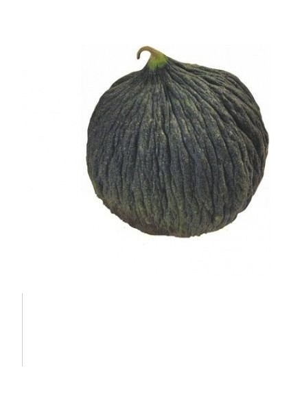 Hasanbey 1 Kavun Tohumu Paket 10 Gram