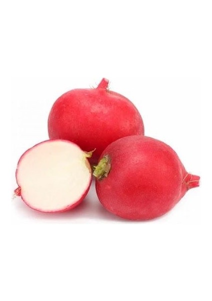 Turp İri Toros Kırmızısı Tohumu Paket 10 Gram