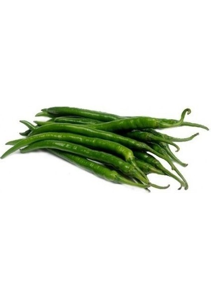 Biber Kıl Acı Tohumu Paket 25 Gram