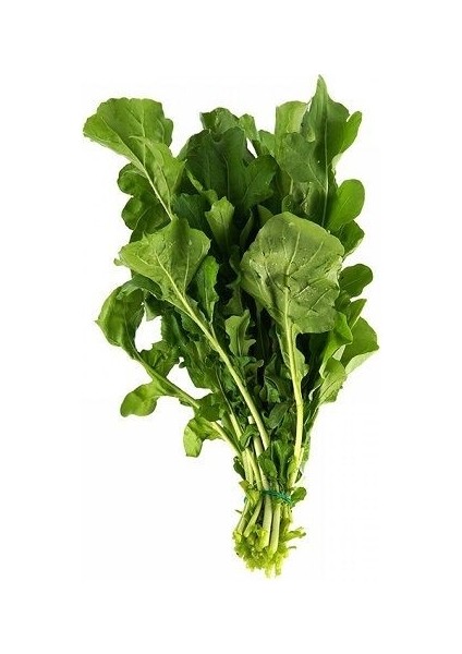 Roka Toros İri Yaprak Tohumu Paket 10 Gram fiyatları