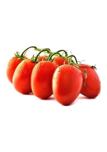Domates Tohumu Kokteyl 10 Adet Paketli
