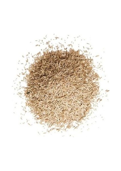 Çim Tohumu Class 6 Karışım 1 Kilo