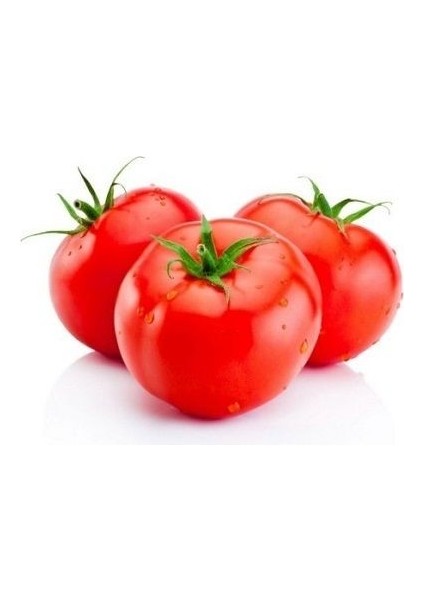 Domates H 2274 Tohumu Paket 5 Gram