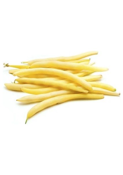 Fasulye Tohumu Turşuluk Sırık Paket 50 Gram