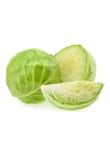 Beyaz Lahana Yalova 1 Tohumu Paket 10 Gram