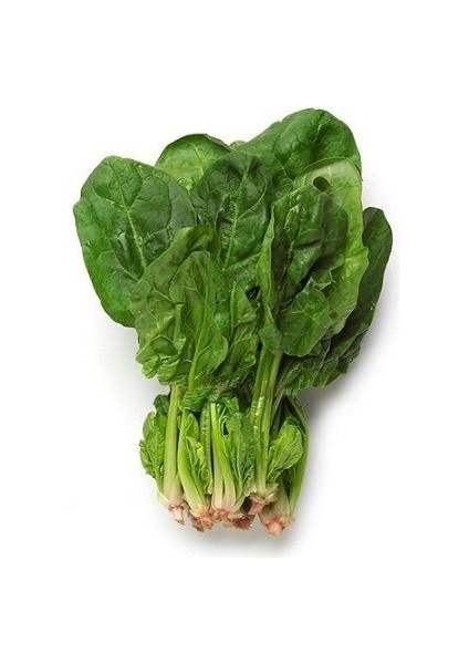 Matador Ispanak Tohumu Paket 25 Gram