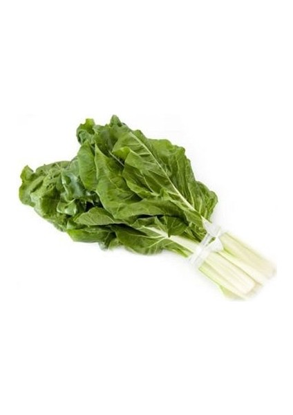 Pazı Tohumu Charlie Paket 10 Gram