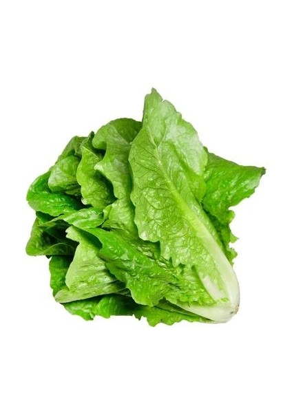 Marul Yedikule Tohumu Paket 25 Gram