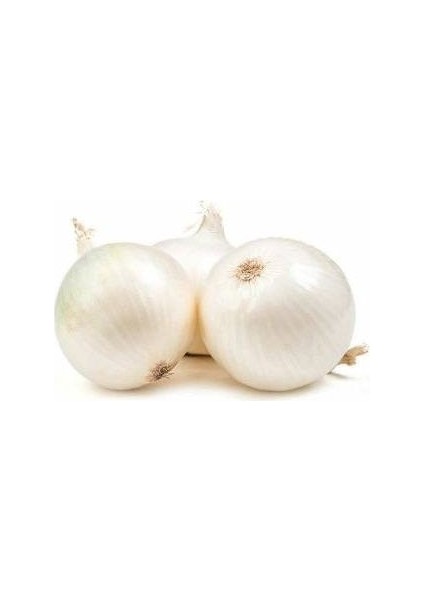 Beyaz Soğan Tohumu Paketli 5 Gram