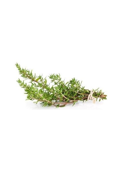 Kış Kekiği Tohumu Paket Thymus Vulgaris Winterhart