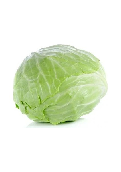 Beyaz Lahana Yalova Sarmalık Tohumu Paket 25 Gram