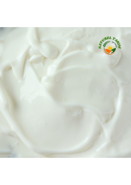 Çatalca Bidon Yoğurdu Jersey İnek Sütünden 2 kg