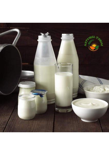 Çatalca Bidon Yoğurdu Jersey İnek Sütünden 2 kg