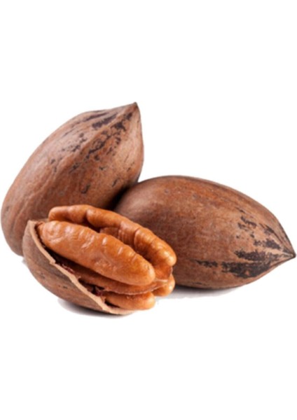 Pikan Cevizi 1 kg Kabuklu