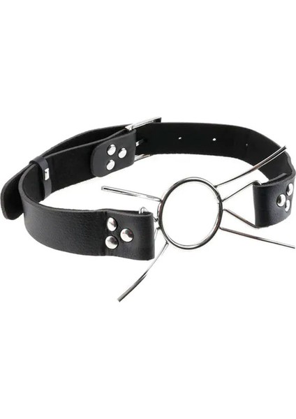 Exme Spider Gag Mr.owl
