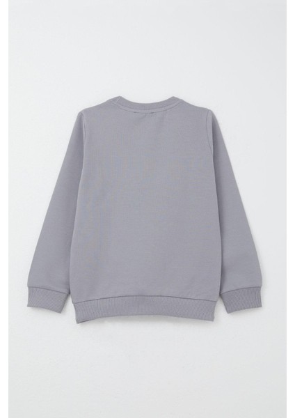 Erkek Çocuk Eşofman Takım Kolej Şampiyonu Sevimli Ayıcık Baskılı 2-6 Yaş, Gri