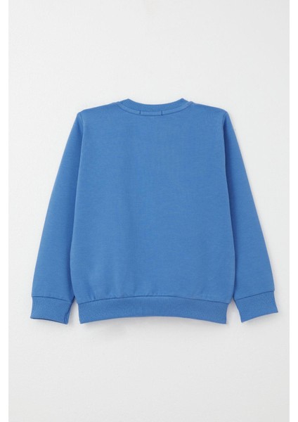 Erkek Çocuk Eşofman Takım Kaykaycı Sevimli Ayıcık Baskılı 1-4 Yaş, Saks Mavisi fırsatları