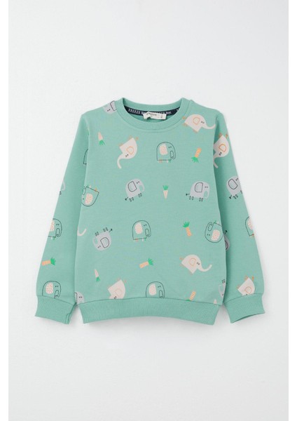 Erkek Çocuk Eşofman Takım Sevimli Fil Desenli 1-4 Yaş, Su Yeşili fiyatları