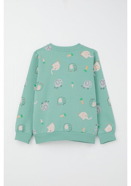 Erkek Çocuk Eşofman Takım Sevimli Fil Desenli 1-4 Yaş, Su Yeşili fırsatları