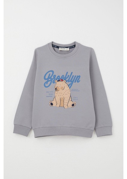 Erkek Çocuk Eşofman Takım Kolej Şampiyonu Sevimli Ayıcık Baskılı 2-6 Yaş, Gri fiyatları