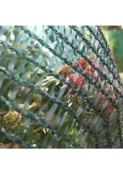 Bahçe Örtüsü - Yüzde 40'lık - Yeşil - Şeritli Halkalı - 4 Metre x 40 Metre