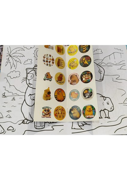 4 Adet Stickerli Boyama Kitabı (Kuromi,minnie,copybara,unicorn Figürlü)