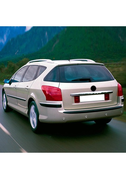 Peugeot 407 Sw 2005-2010 Arka Bagaj Kapak Amortisörü Pistonu 1 Adet