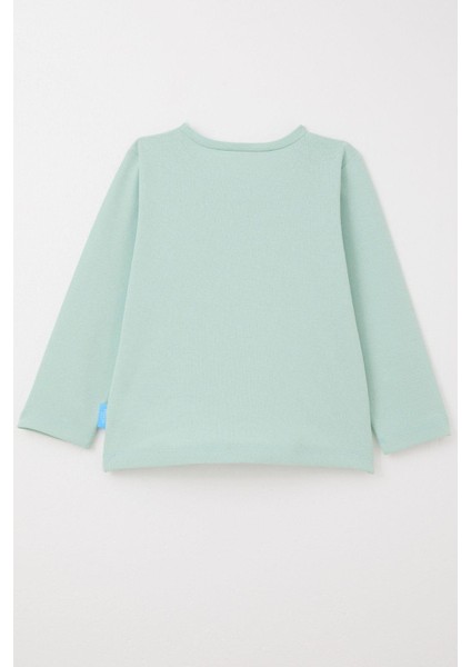 Erkek Bebek Uzun Kollu Tişört Basic 9 Ay-3 Yaş, Mint Yeşili fiyatları