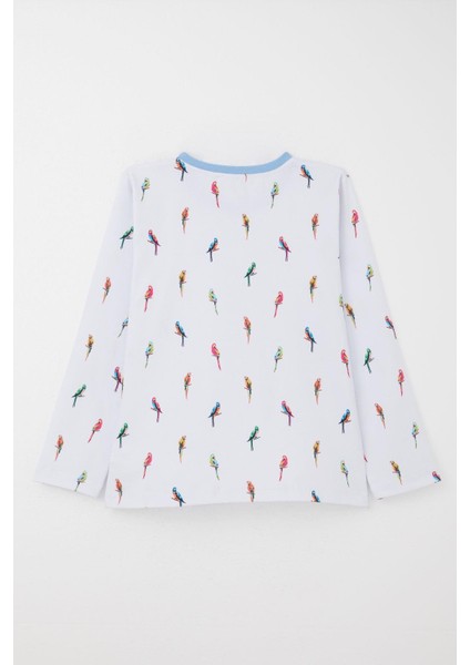 Erkek Çocuk Pijama Takımı Renkli Papağan Desenli 9-12 Yaş, Buz Mavisi
