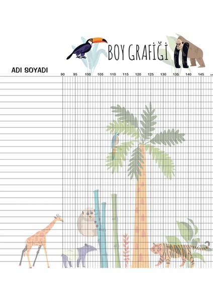 Statik Kağıt Boy Grafiği 85 cm x 95 cm 10