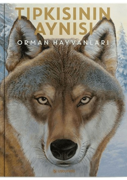 Tıpkısının Aynısı - Holger Haag