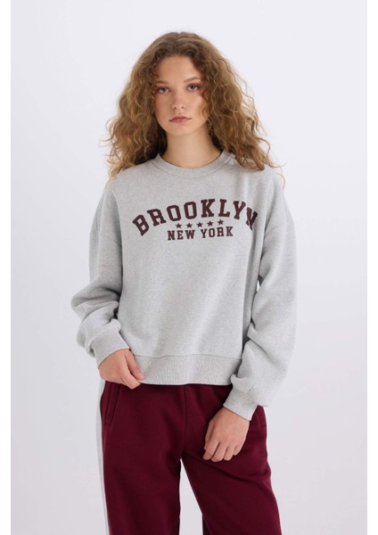 Loose Fit Bisiklet Yaka Baskılı Kalın Kumaş Sweatshirt E3387AXNS